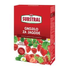 Substral Gnojilo za jagode, 1 kg