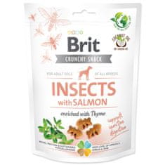 Brit Brit Care Dog Crunchy Cracker. Insects with Salmon enriched with Thyme 200 g
