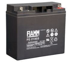 Fiamm FG21803 svinčen akumulator FG21803 • 12V 18Ah • AGM|VRLA • DXŠXV: 181x76x167 | Flag 6.5