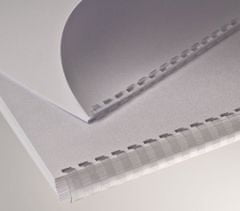 EUROSUPPLIES Vezalna hrbtenica plastična A4 premera 12,5 mm prozorna 100 kosov