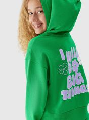 4F Otroški pulover Aramones zelena 164