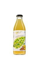 Bfresh Naravna limonada z agavo in ingverjem