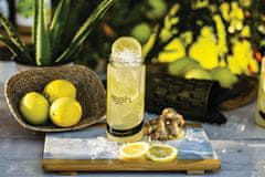 Bfresh Naravna limonada z agavo in ingverjem