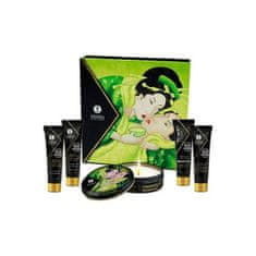 NEW Geisha Organica Eksotični Zeleni čaj Shunga SH8211