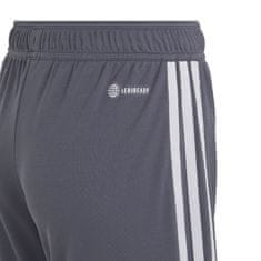 Adidas adidas Tiro 23 League Jr kratke hlače IB8102