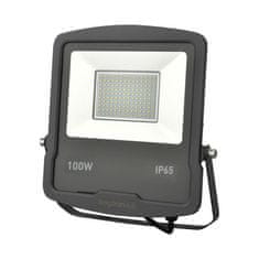 BRAYTRON FLOOD SL reflektor LED 100W hladno bela IP65 siva
