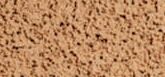 Clarins Dolgotrajni vlažilni make-up v blazini SPF 50 (Everlasting Cushion Foundation) 13 ml (Odtenek 108 Sand)