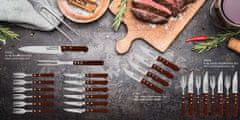 CS Solingen Nož za steake, komplet 4 kosov JUMBO BRUHL CS-070182