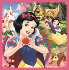 Trefl Puzzle Disney princeske: Čarobni svet 3 v 1 (20,36,50 kosov)