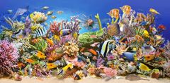 Castorland Puzzle Podvodno življenje 4000 kosov