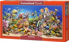 Castorland Puzzle Podvodno življenje 4000 kosov