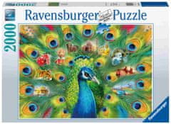Ravensburger sestavljanka pav, 2000 delčkov