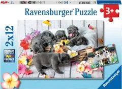 Ravensburger Puzzle Cute puppies 2x12 kosov