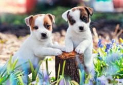 Ravensburger Puzzle Cute puppies 2x12 kosov