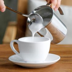 Eva Penilec mleka Cappuccino Creamer 0,4l / za 3 skodelice / inox