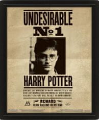 Harry Potter: 3D slika - Sirius Black