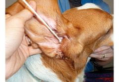 OTOM Debelejše bambusove palčke z vato za čiščenje pasjih ušes L/XL