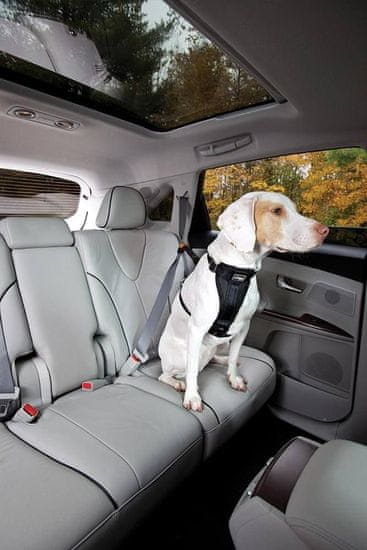 Kurgo Kurgo pasji varnostni pas za pse v avtomobilu Privez za varnostni pas črn
