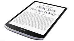 PocketBook InkPad X elektronski bralnik, siv