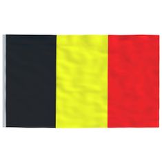Vidaxl Zastava Belgije in drog 6,23 m aluminij