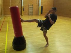 Samostoječa boksarska vreča 180cm/65kg izdelana v Sloveniji