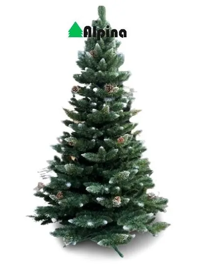 Alpina Božično drevo ZASNEŽENI BOR z izboklinami