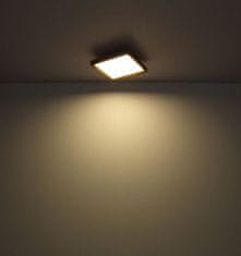 Globo LED Stropna svetilka Globo CINDERELLA 41595D1