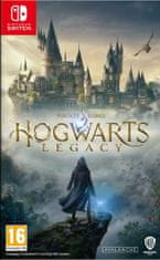 Warner Bros Hogwarts Legacy igra (Nintendo Switch)