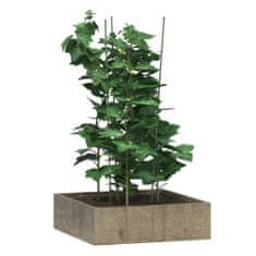 Greatstore Opora za vrtne rastline s 3 obroči 5 kosov zelene 75 cm jeklo